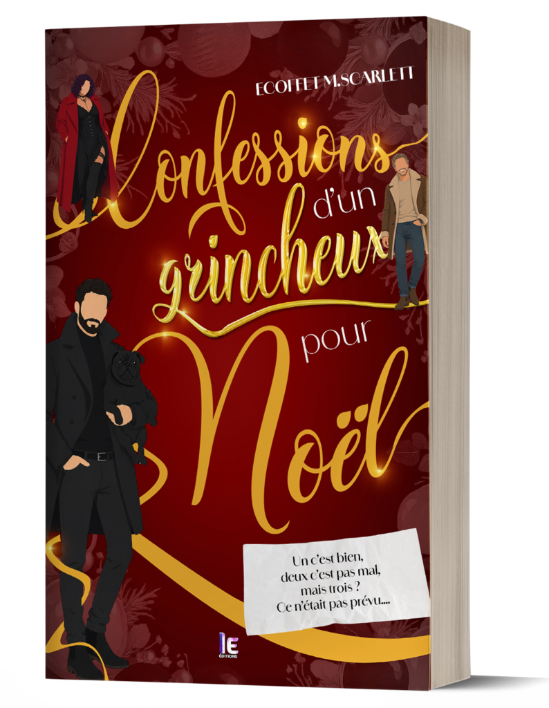 Confessions d'un grincheux pour Noël